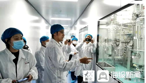 石藥集團煙臺生物醫藥高科技產業園 打造全國最大生物醫藥產業化基地，融合通信技術開發新動能